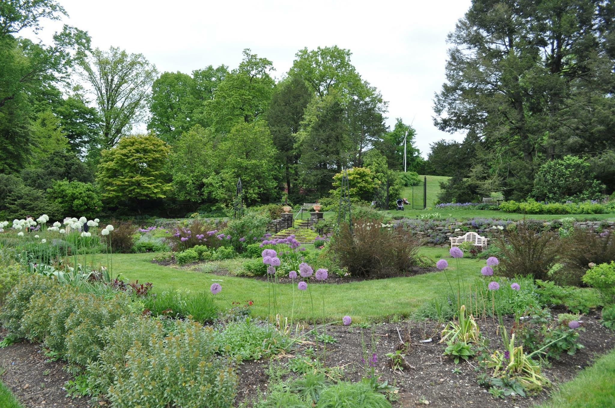 Morris Arboretum - The Buckit Blog