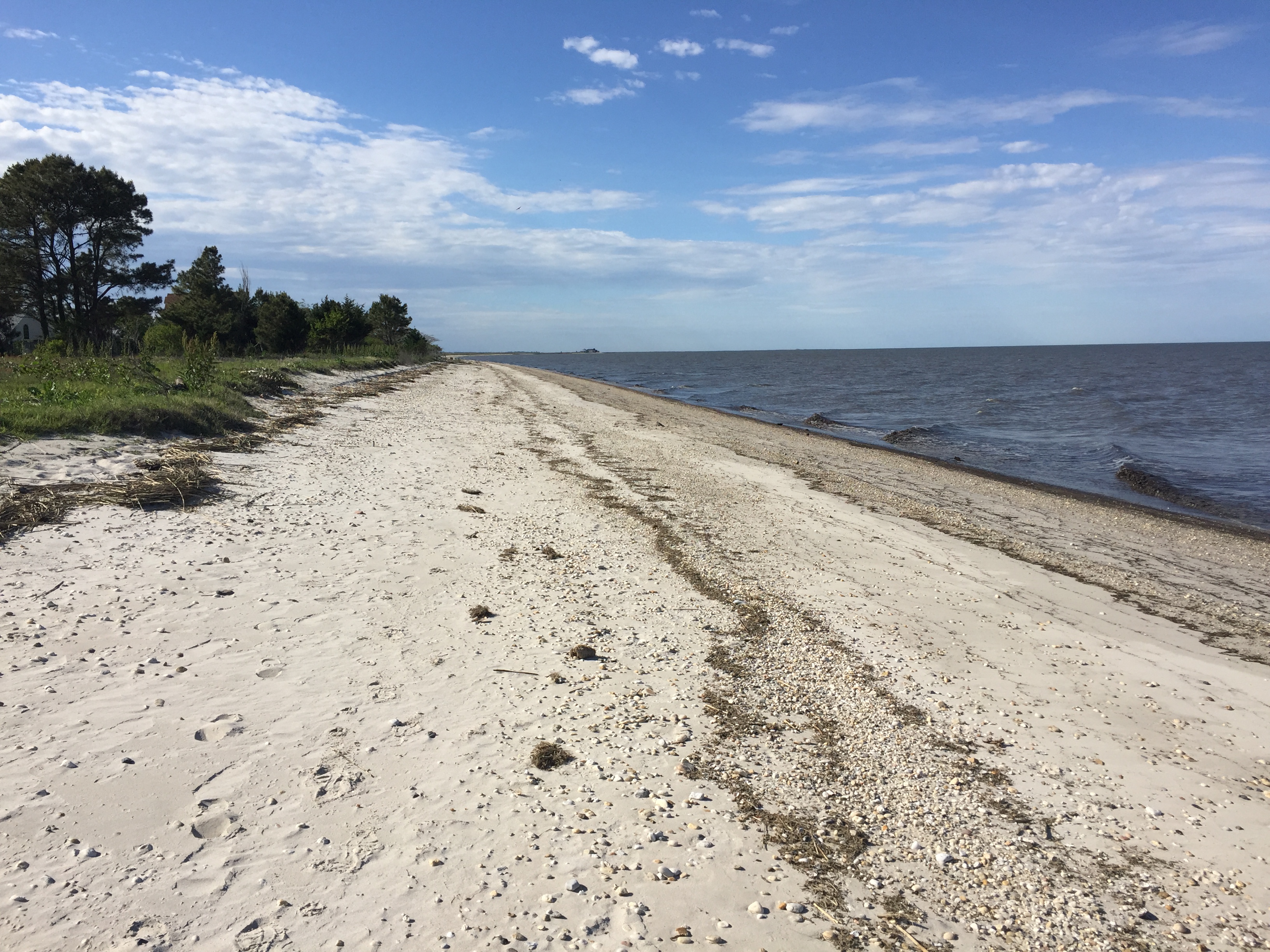 Kitts Hummock Beach The Buckit Blog