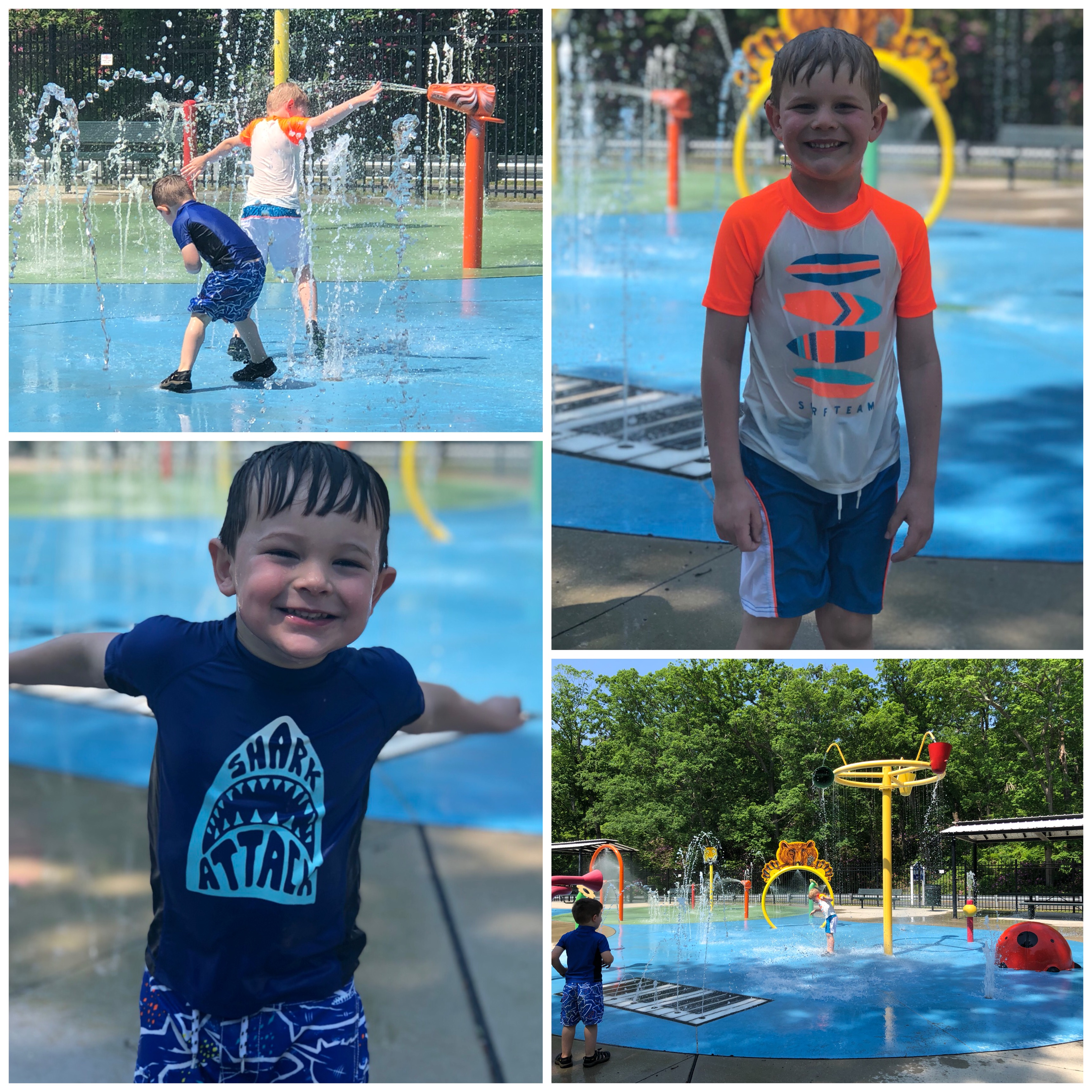 Cohanzick Zoo and Bridgeton Splash Park The Buckit Blog